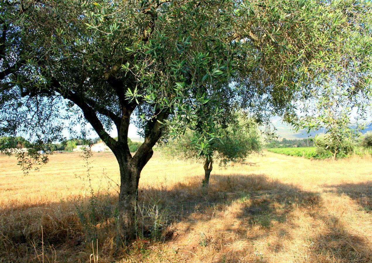 Agriturismo Da Pina Porto Conte Zewnętrze zdjęcie