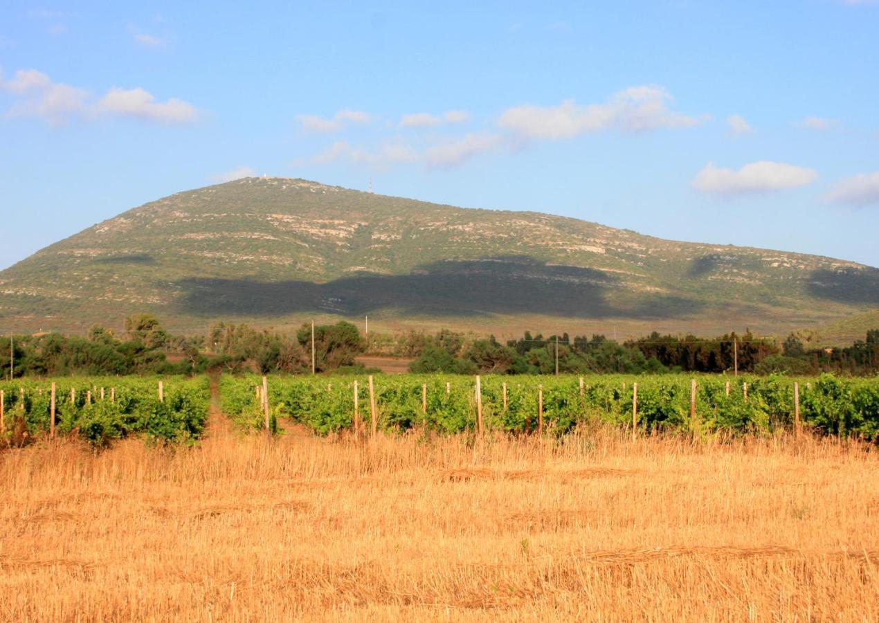 Agriturismo Da Pina Porto Conte Zewnętrze zdjęcie